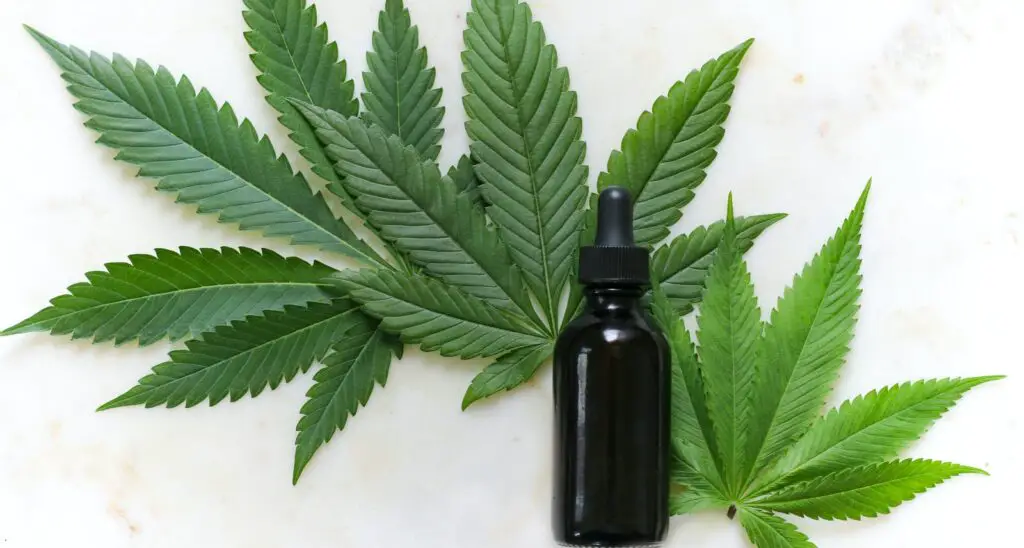 green cannabis leaves and black glass drops bottle