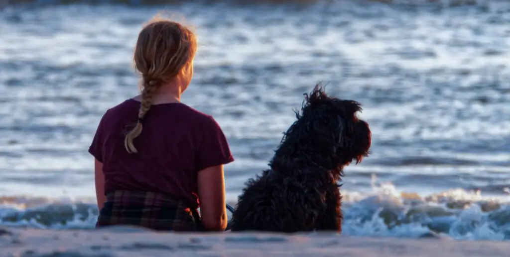 girl and dog sitting on seashore while watching on sea